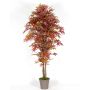Decorative Japanese maple MYKYTA, natural stems, red-brown, 5ft/150cm - Made in Italy