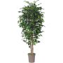 False Ficus Benjamina LEVANTA, natural stems, green, 5ft/150cm - Made in Italy