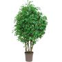 Decorative tree Weeping fig SORAVIA, natural stems, green, 5ft/150cm - Made in Italy