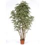 Decorative Ficus Benjamina MIMITIGO, real stems, green-white, 6ft/175cm - Made in Italy