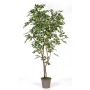 Artificial weeping fig BASILIO, real stems, green-white, 6ft/180cm - Made in Italy