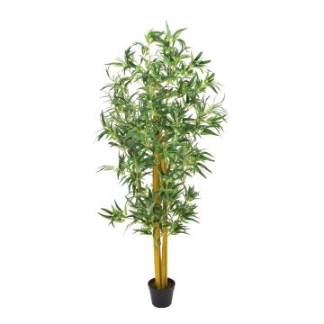Artificial bamboo HIROKO, natural trunks, 180cm