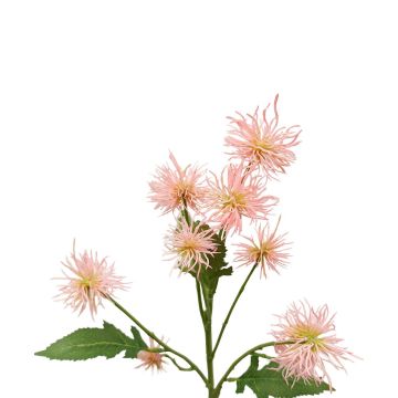 Decorative branch Globe thistle GESKENDA, pink-yellow, 24"/60cm