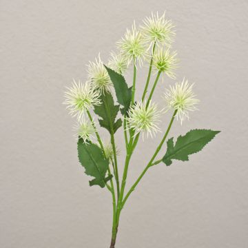 Decorative branch Globe thistle GESKENDA, cream-white, 24"/60cm