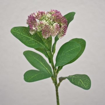 Plastic sedum telephium flower EILIDH, pink-cream, 12"/30cm