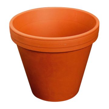 Plant pot ARVION of terracotta, 3.1"/8cm, Ø3.5"/9cm Plant pot ARVION of terracotta, 3.1"/8cm, Ø3.5"/9cm