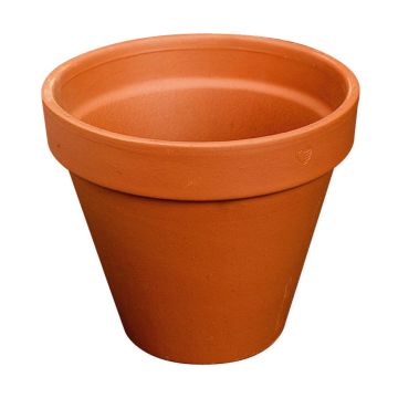 Plant pot DUNARI of terracotta, 6.7"/17cm, Ø7.5"/19cm Plant pot DUNARI of terracotta, 6.7"/17cm, Ø7.5"/19cm