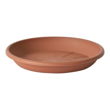 Round flowerpot coaster VENERA made of recycled plastic, with holes, terracotta, 1.2"/3cm, Ø8"/20cm Round flowerpot coaster VENERA made of recycled plastic, with holes, terracotta, 1.2"/3cm, Ø8"/20cm