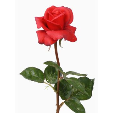 Artificial rose AMELIE, red, 28"/70cm, Ø 3.1"/8cm Artificial rose AMELIE, red, 28"/70cm, Ø 3.1"/8cm
