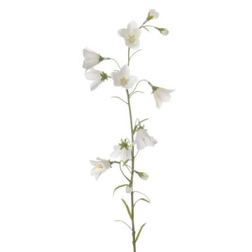 Fake bellflower GISELA, white, 26"/65cm, Ø 2"/5cm Fake bellflower GISELA, white, 26"/65cm, Ø 2"/5cm