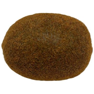 Decorative fruit Kiwi MASDA, brown, 2.6"/6,5cm, Ø2.2"/5,5cm Decorative fruit Kiwi MASDA, brown, 2.6"/6,5cm, Ø2.2"/5,5cm
