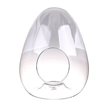 Glass terrarium for plants EDUARD in egg shape, clear, 34cm, Ø28cm Glass terrarium for plants EDUARD in egg shape, clear, 34cm, Ø28cm