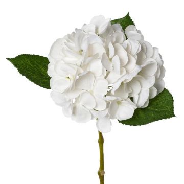 Plastic flower Hydrangea KLUVT, white, 20"/50cm Plastic flower Hydrangea KLUVT, white, 20"/50cm