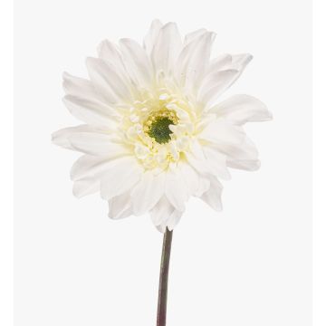 Fralwe artificial gerbera, Eco Collection, white, 65cm, Ø13cm Fralwe artificial gerbera, Eco Collection, white, 65cm, Ø13cm