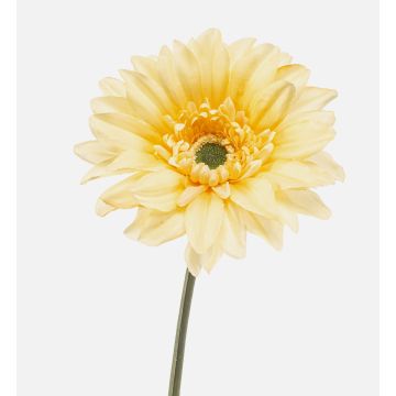 FRALWE artificial gerbera, Eco Collection, light yellow, 65cm, Ø13cm FRALWE artificial gerbera, Eco Collection, light yellow, 65cm, Ø13cm