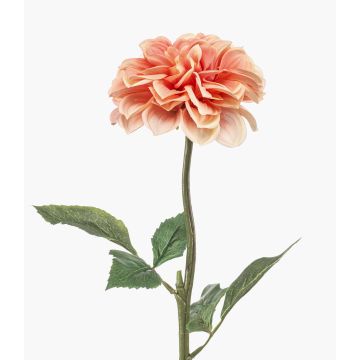 Decorative Dahlia TOWMER, Eco Collection, peach, 22"/55cm Decorative Dahlia TOWMER, Eco Collection, peach, 22"/55cm