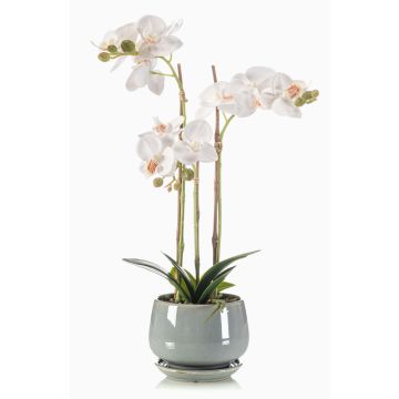 Decorative Phalaenopsis orchid JOLANA in a ceramic pot, white, 18"/45cm Decorative Phalaenopsis orchid JOLANA in a ceramic pot, white, 18"/45cm