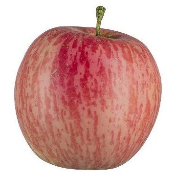 Decorative fruit Apple LOKPA, fuchsia, 2.6"/6,5cm, Ø2.6"/6,5cm Decorative fruit Apple LOKPA, fuchsia, 2.6"/6,5cm, Ø2.6"/6,5cm