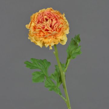 Decorative flower Ranunculus GRINTEL, apricot, 18"/45cm Decorative flower Ranunculus GRINTEL, apricot, 18"/45cm