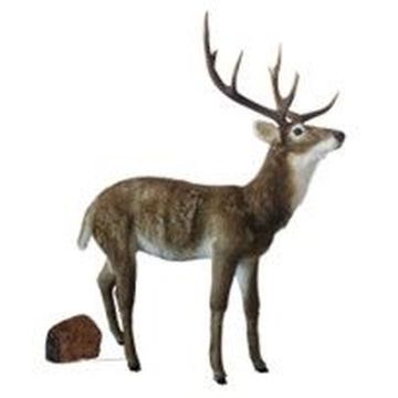 XXL BLAER decorative Deer Figurine, brown-white, 5ftx25"x6ft/138x63x172cm XXL BLAER decorative Deer Figurine, brown-white, 5ftx25"x6ft/138x63x172cm