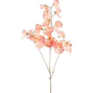 Artificial lathyrus latifolius branch SLIRKEN, apricot, 30"/75cm