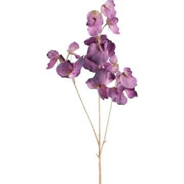 Artificial lathyrus latifolius branch SLIRKEN, dark purple, 30"/75cm Artificial lathyrus latifolius branch SLIRKEN, dark purple, 30"/75cm