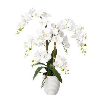 Artificial Phalaenopsis orchid LUKREN in a ceramic pot, with roots, white, 26"/65cm Artificial Phalaenopsis orchid LUKREN in a ceramic pot, with roots, white, 26"/65cm