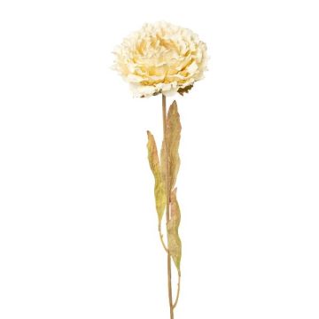 Artificial flower Peony MASNOR, dry look, cream, 26"/65cm