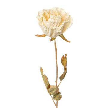 Artificial flower Rose PANSOK, dry look, cream, 22"/55cm Artificial flower Rose PANSOK, dry look, cream, 22"/55cm