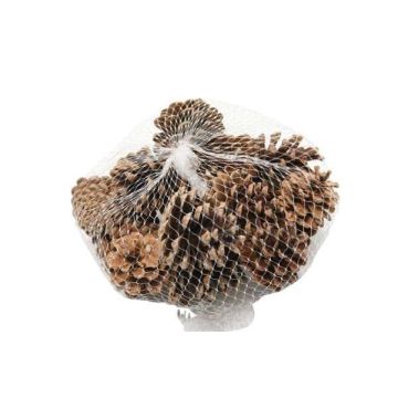 Scatter decoration Pine cones UMBRIELLE, natural, 15 pieces