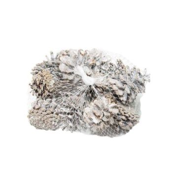 Scatter decoration Pine cones UMBRIELLE, white-washed, 15 pieces