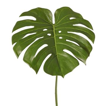 Decorative Philodendron Monstera Deliciosa leaf THALWIL, 60cm Decorative Philodendron Monstera Deliciosa leaf THALWIL, 60cm