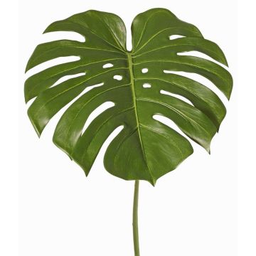 Decorative Philodendron Monstera Deliciosa leaf THALWIL, 24"/60cm Decorative Philodendron Monstera Deliciosa leaf THALWIL, 24"/60cm