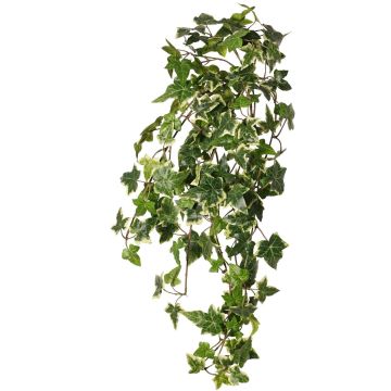 ARJANA artificial ivy hanging plant, support stick, flame-retardant, green and white, 75 cm ARJANA artificial ivy hanging plant, support stick, flame-retardant, green and white, 75 cm