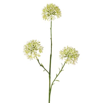 Artificial Allium ALIKIO, white, 65cm, Ø7cm Artificial Allium ALIKIO, white, 65cm, Ø7cm