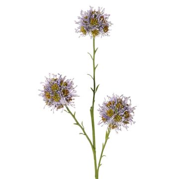 Decorative sprig of Allium ZEBU, purple, 65cm, Ø7cm Decorative sprig of Allium ZEBU, purple, 65cm, Ø7cm