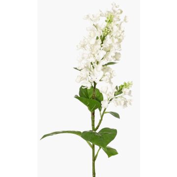 Artificial flower Lilac ADMIR, white, 31"/80cm Artificial flower Lilac ADMIR, white, 31"/80cm