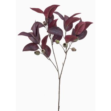 Artificial eucalyptus branch VIZIMIR with berries, burgundy, 80cm