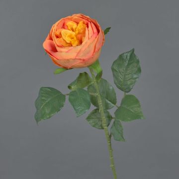 Artificial cabbage rose VANNI, orange, 60cm, Ø9cm Artificial cabbage rose VANNI, orange, 60cm, Ø9cm
