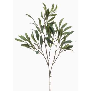 RIGELIO decorative olive branch, 80cm RIGELIO decorative olive branch, 80cm