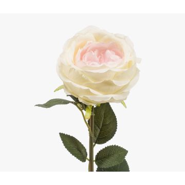 Artificial rose THYRI, cream-pink, 65cm, Ø10cm