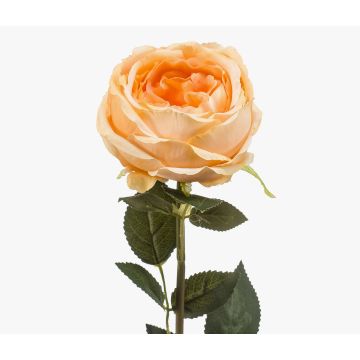 THYRI artificial rose, peach, 65cm, Ø10cm THYRI artificial rose, peach, 65cm, Ø10cm