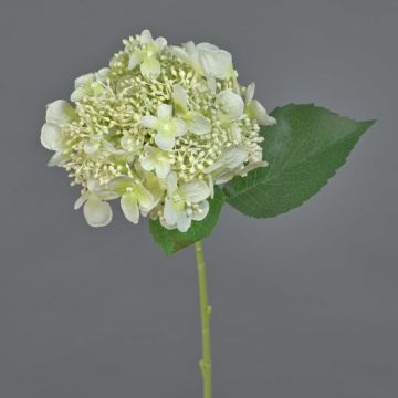 Artificial hydrangea CALESA, white-green, 50cm, Ø15cm Artificial hydrangea CALESA, white-green, 50cm, Ø15cm
