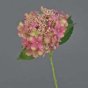 Artificial hydrangea CALESA, dusky pink and green, 50cm, Ø15cm Artificial hydrangea CALESA, dusky pink and green, 50cm, Ø15cm