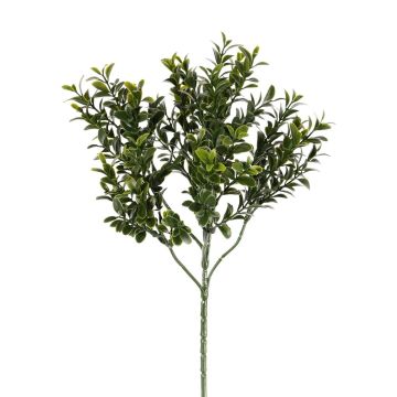 Artificial boxwood branch TOM, crossdoor, 18"/45cm
