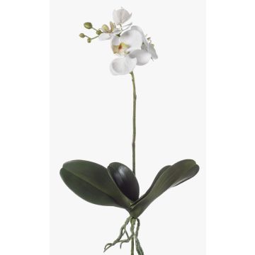 Artificial moth orchid FAO, spike, white, 18"/45cm Artificial moth orchid FAO, spike, white, 18"/45cm