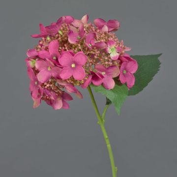CALESA artificial hydrangea, pink, 50cm, Ø15cm CALESA artificial hydrangea, pink, 50cm, Ø15cm