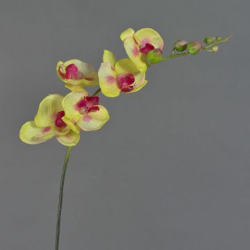 Textile branch Phalaenopsis orchid DAJANA, yellow-pink, 3ft/90cm