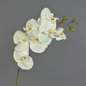 Artificial Phalaenopsis orchid branch RICKY, cream, 95 cm, Ø 7–11 cm