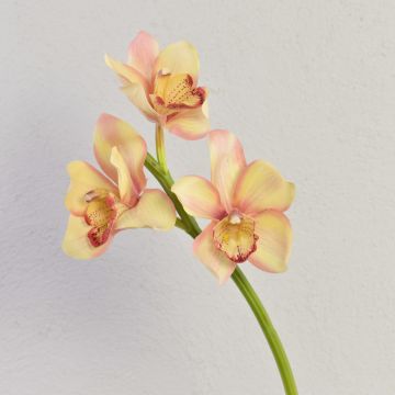 Decorative Cymbidium orchid branch SERAPHINA, yellow-pink, 45cm, Ø10–13cm Decorative Cymbidium orchid branch SERAPHINA, yellow-pink, 45cm, Ø10–13cm